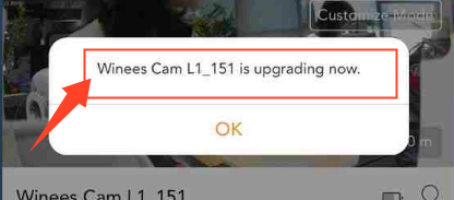 Cannot access the Live Stream Page of my camera, what should I do