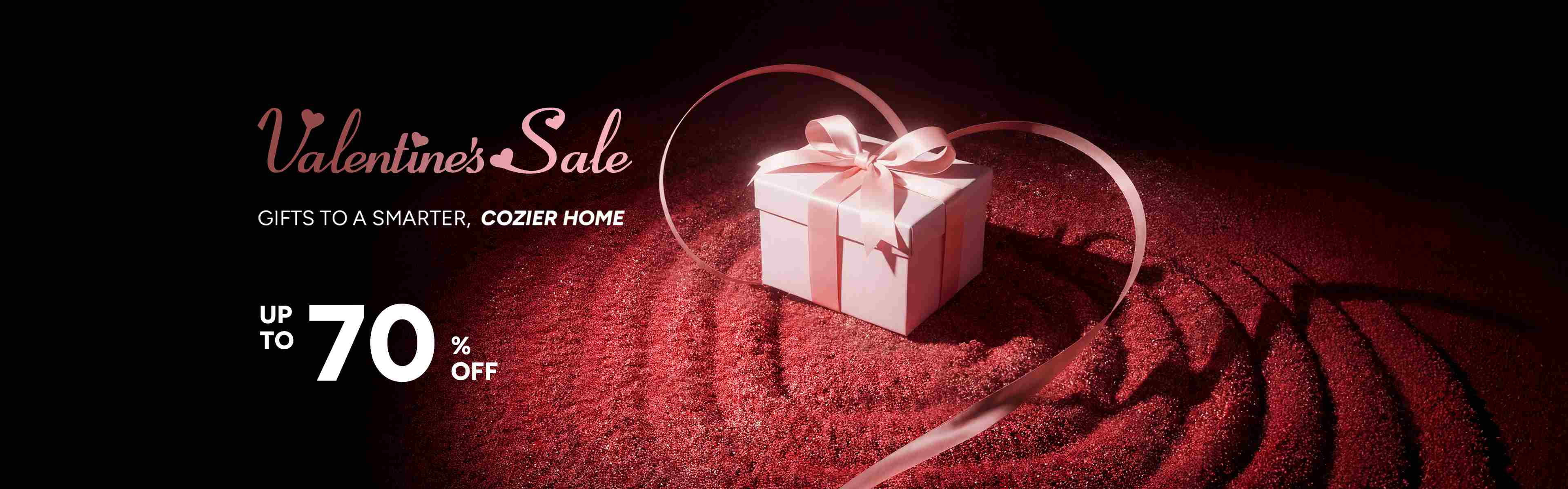 Valentine's Day Banner